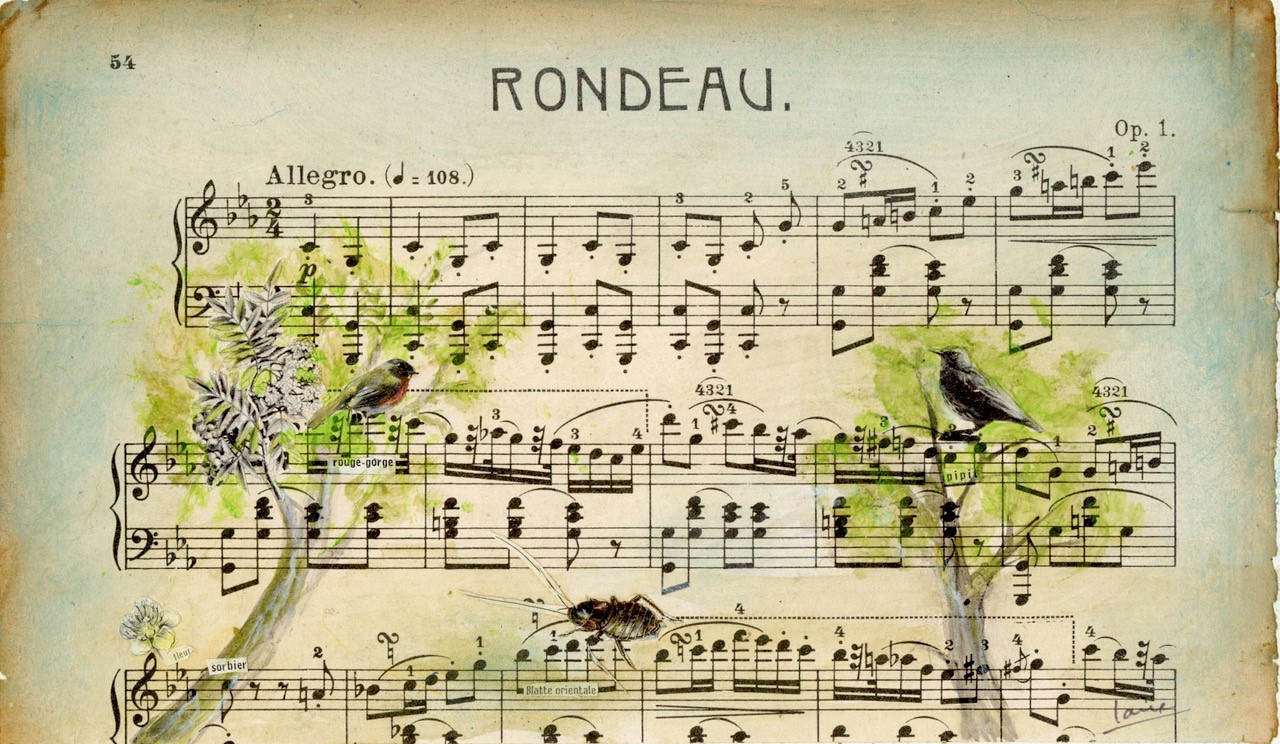 Claire Dubois-Combe, Châtillon-Coligny - photo 7