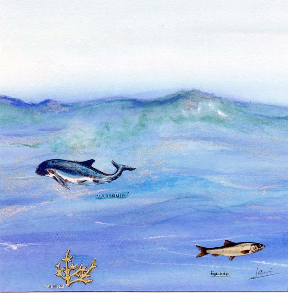 Claire Dubois-Combe, Châtillon-Coligny - photo 5