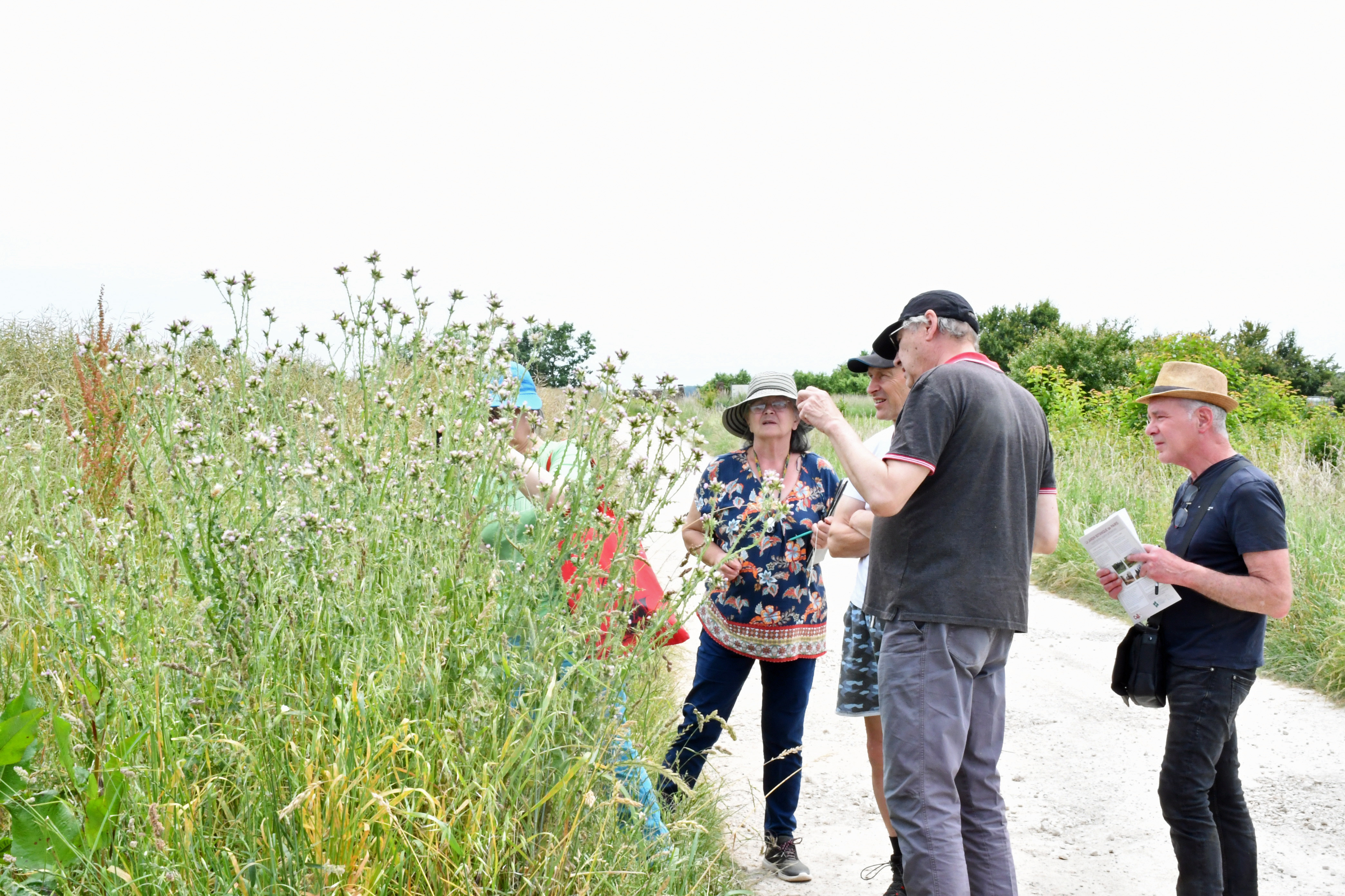 Sorties découverte en vallée du Loir