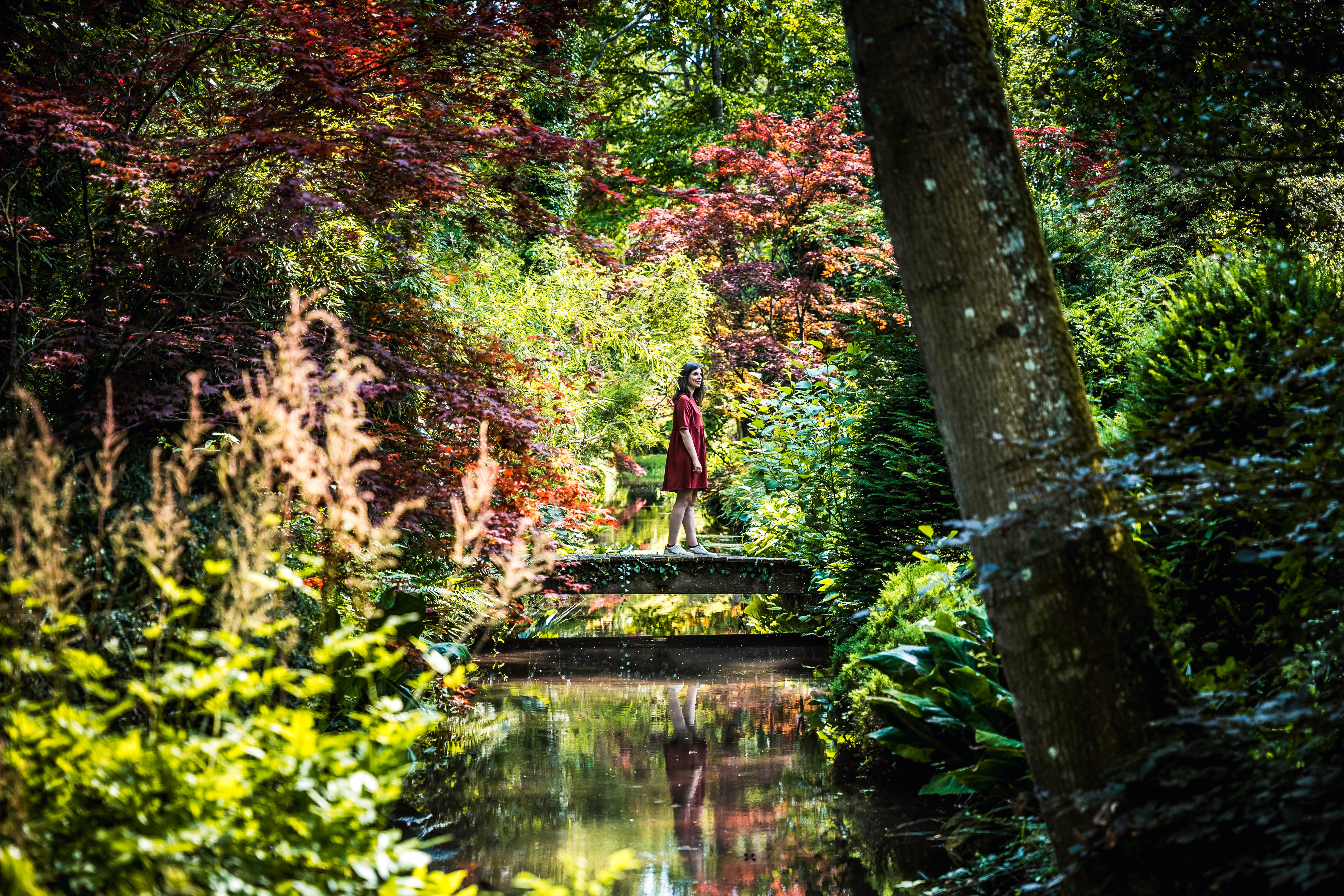 Jardin Arboretum d’Ilex Image de couverture