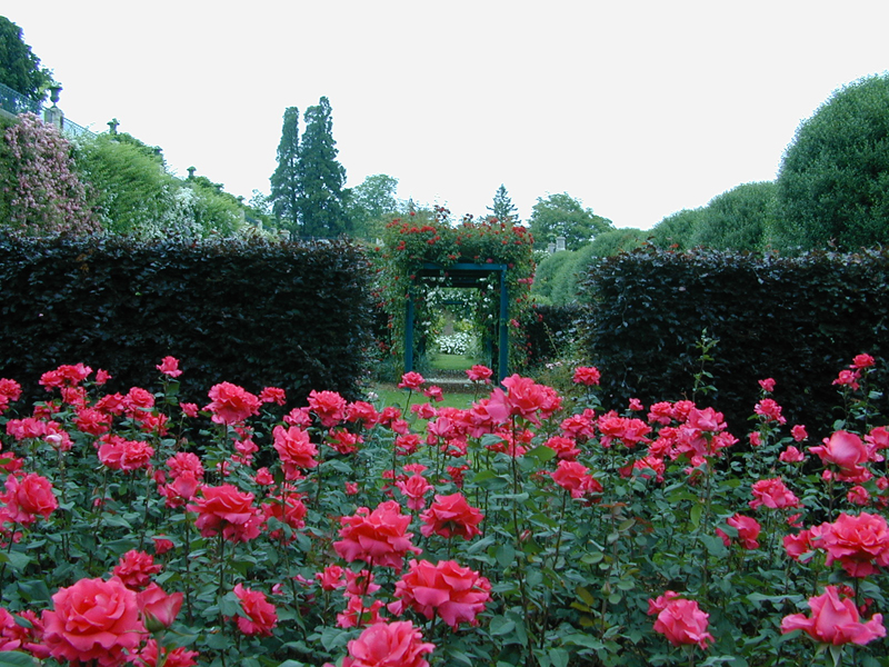 Jardins de l’Evêché (terrasse et roseraie)©