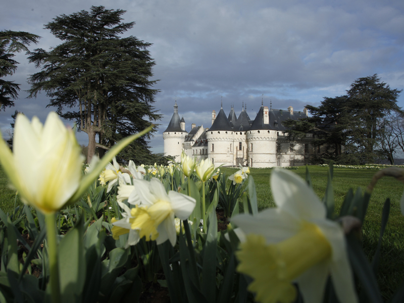 Quand fleurir est un art au Château de Chaumont-sur-Loire©