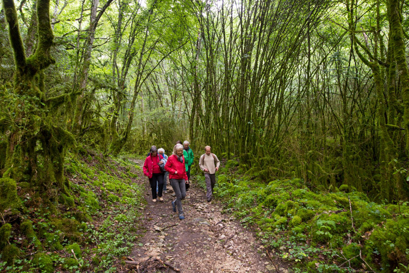 Balade à pied n°41 - Entre falaises et coteaux de l'Anglin, Mérigny - photo 4