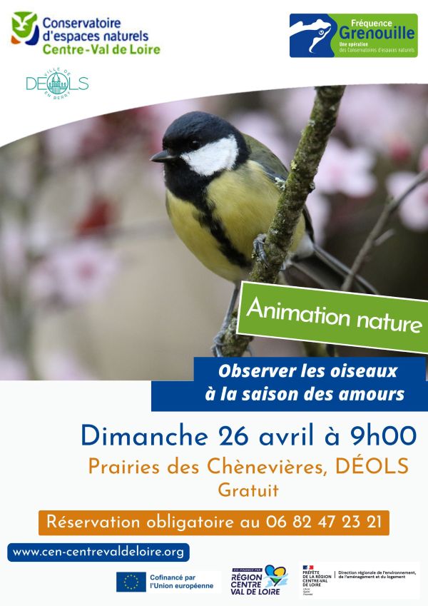 Balade nature sur les prairies des Chènevières « Observer les oiseaux à la saison des amours» — visuel événement