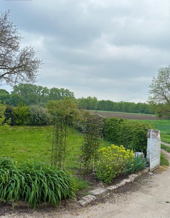 La maison d'Ulysse, Baule - photo 11