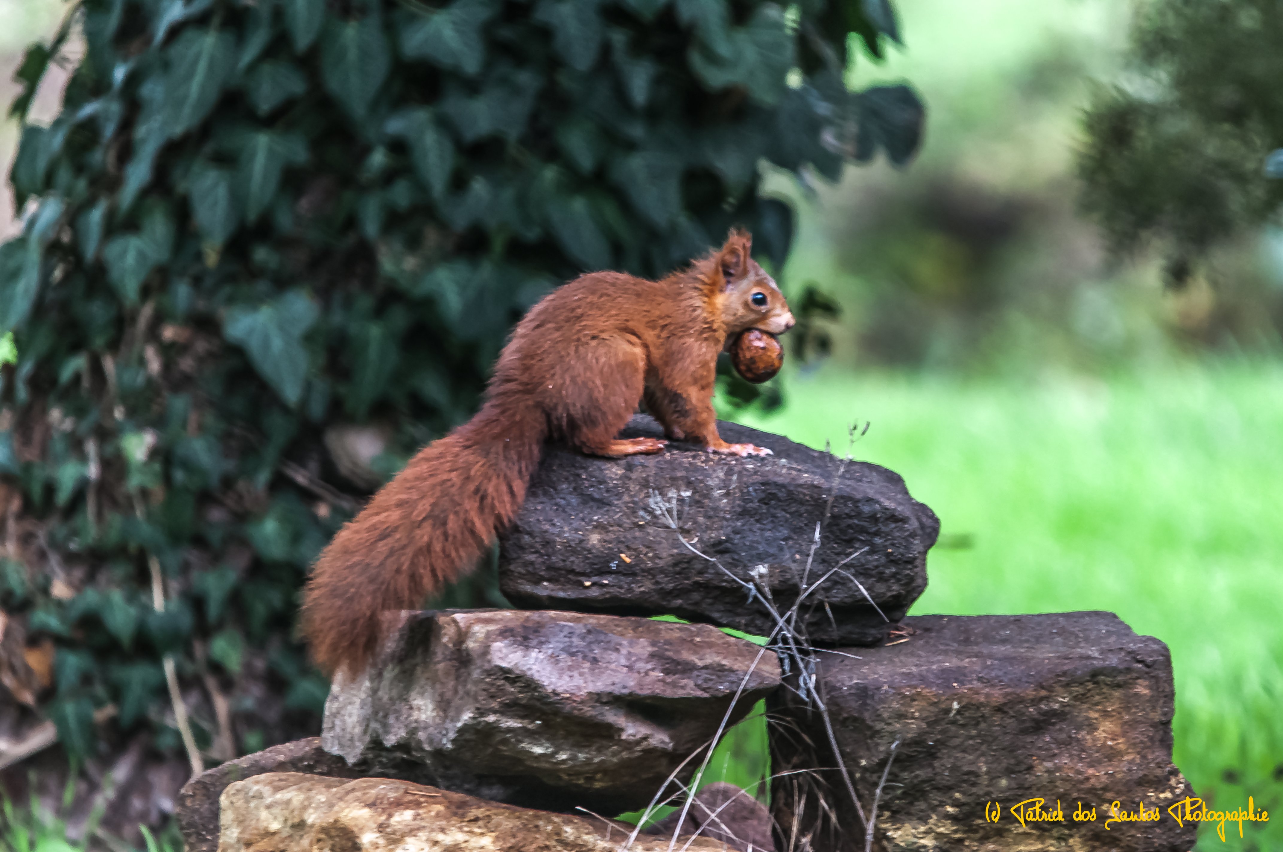 Domaine du Moulin Neuf - Gîte La Bergerie, Chassant - photo 8