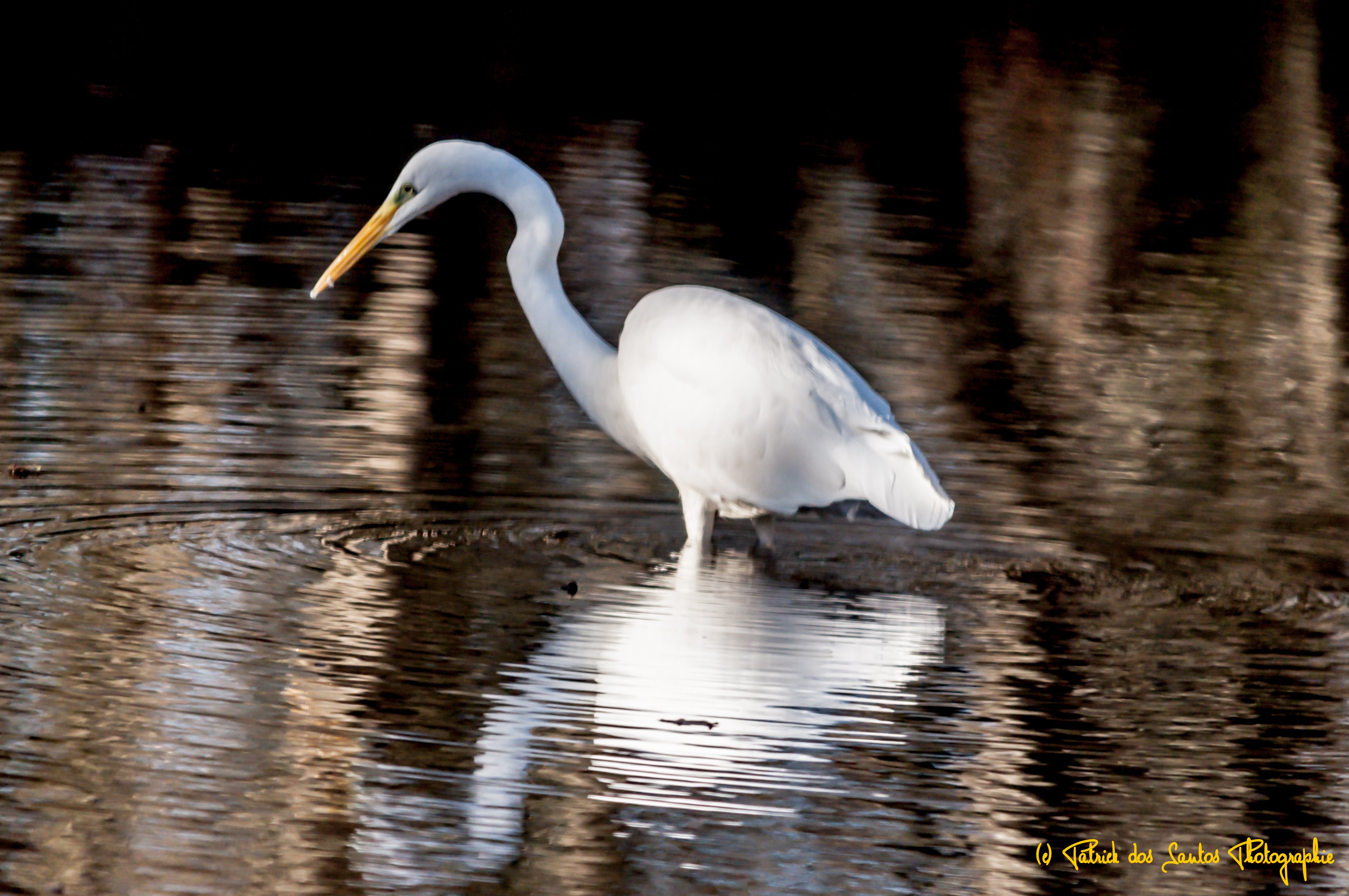 Domaine du Moulin Neuf - Gîte La Bergerie, Chassant - photo 5