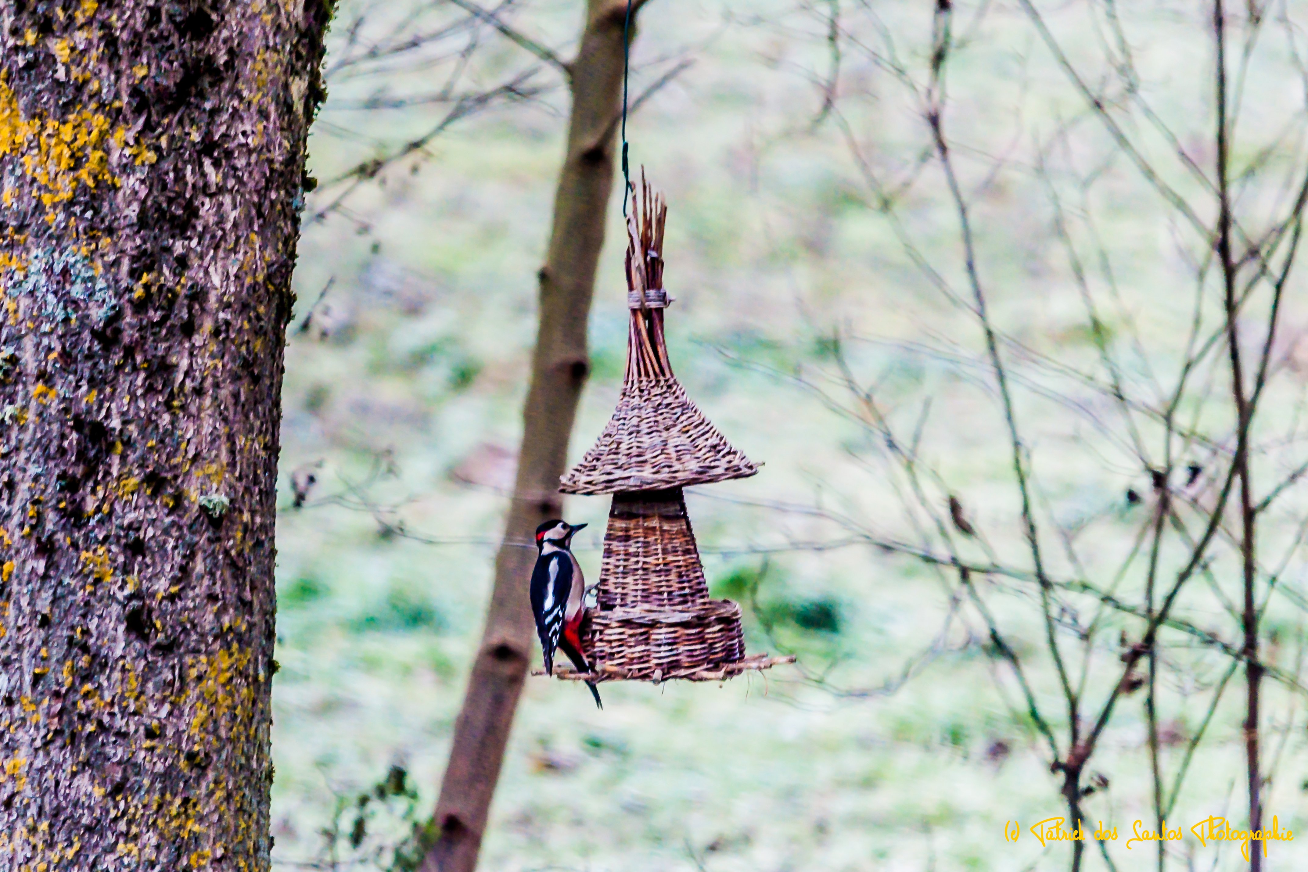 Domaine du Moulin Neuf - Gîte La Bergerie, Chassant - photo 7