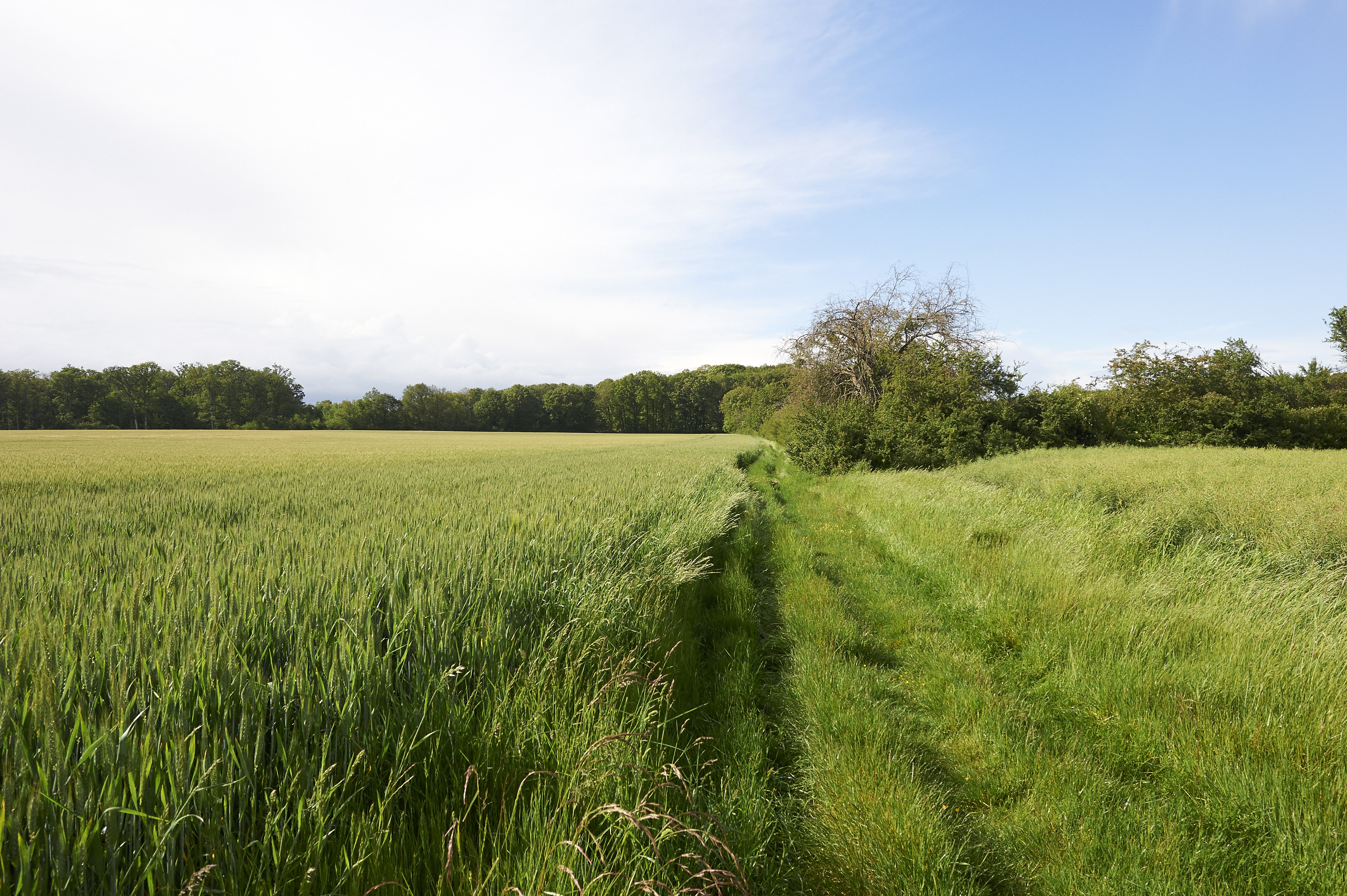 Randonnée à Autrèche