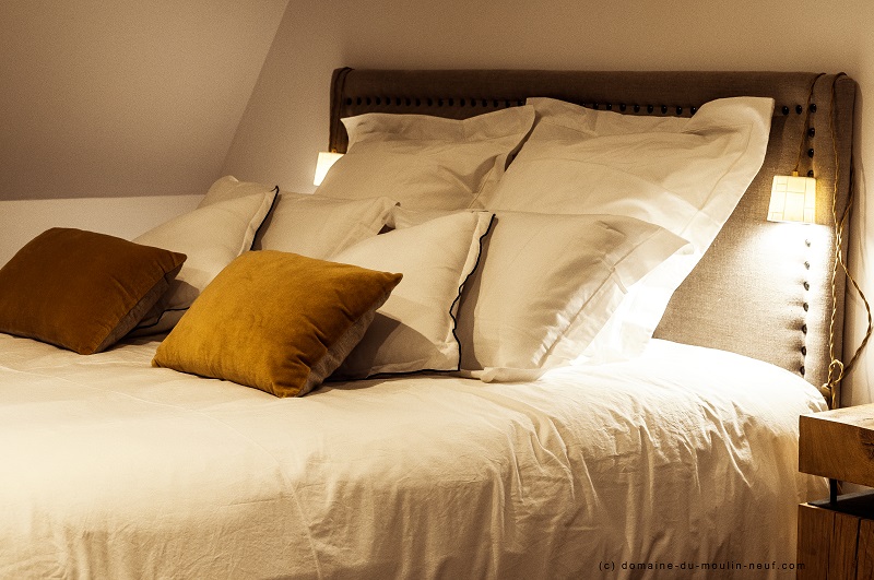 Domaine du Moulin Neuf - Gîte La Bergerie, Chassant - photo 37