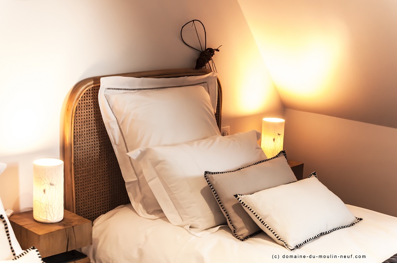 Domaine du Moulin Neuf - Gîte La Bergerie, Chassant - photo 32