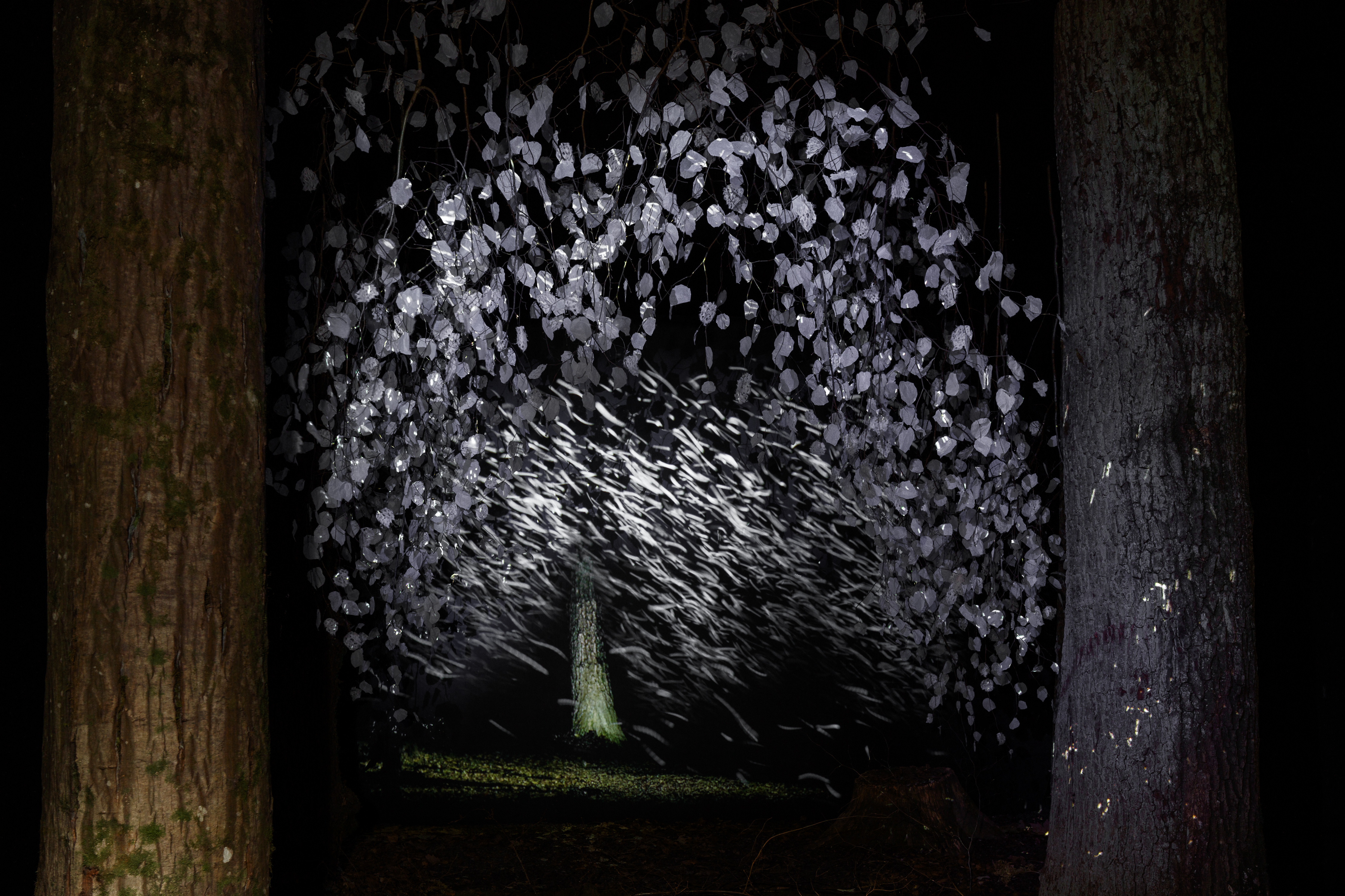 Saison d’art au Domaine Régional de Chaumont, Chaumont-sur-Loire - photo 7