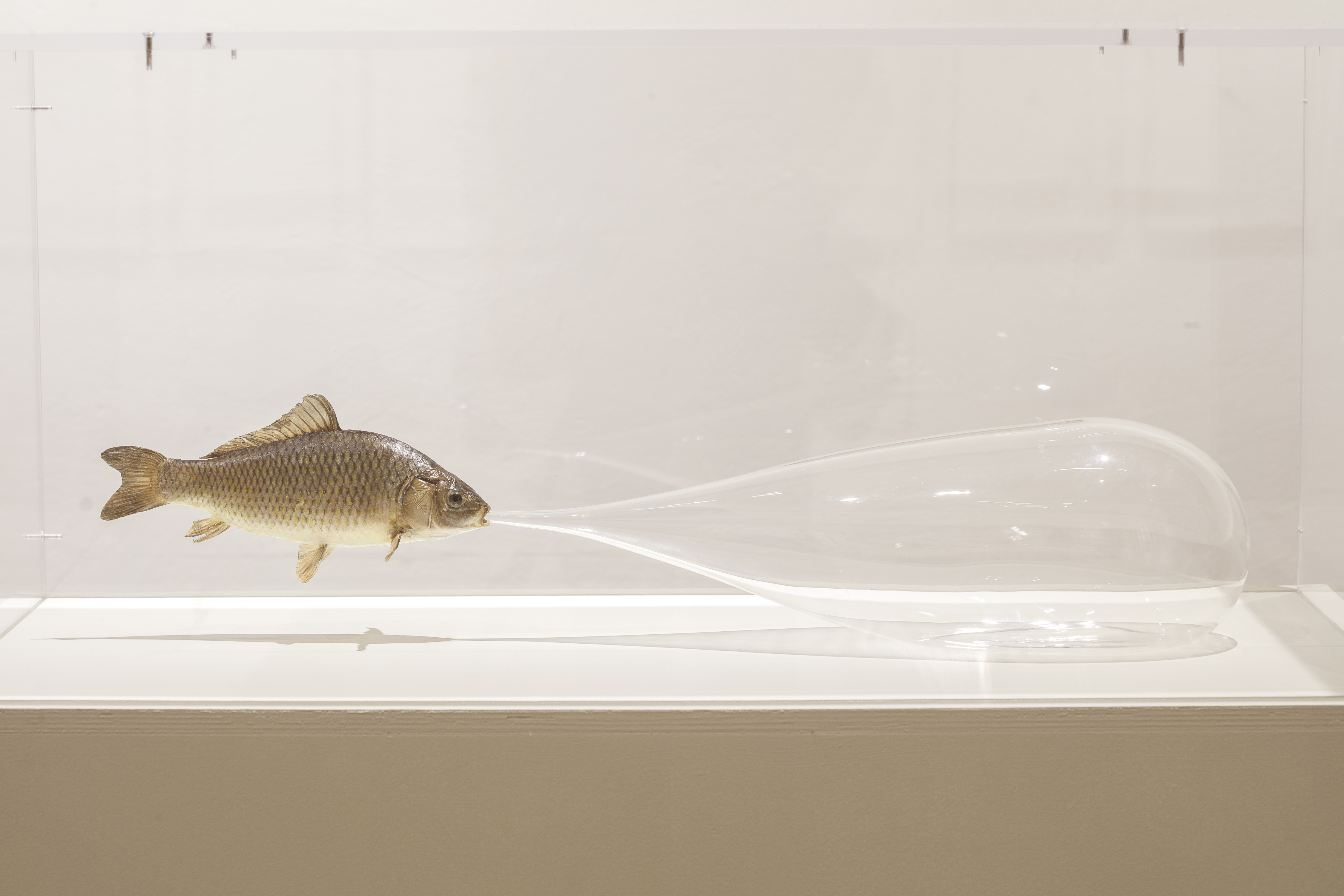 Saison d’art au Domaine Régional de Chaumont, Chaumont-sur-Loire - photo 8