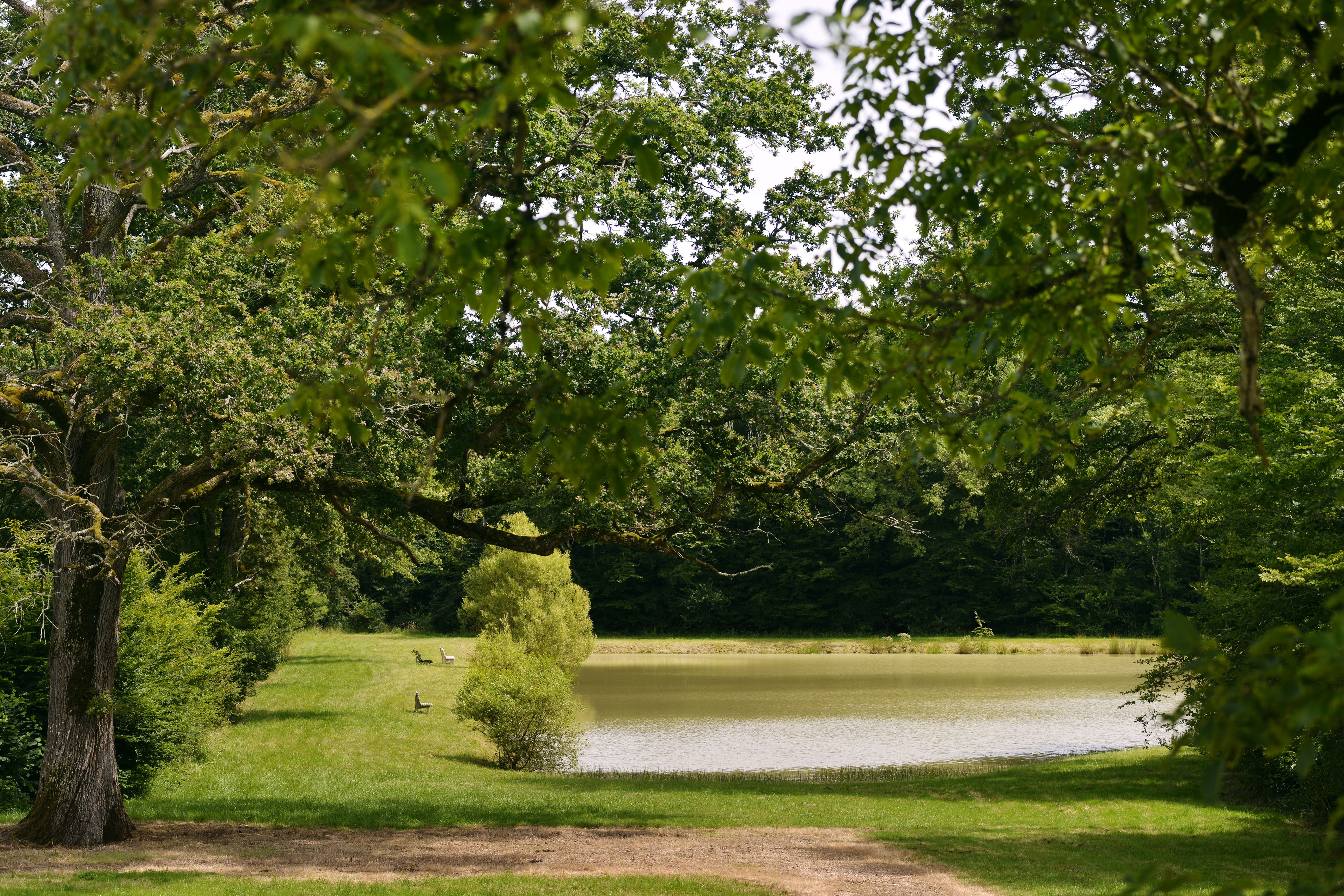 Domaine Le Vieux Muguet