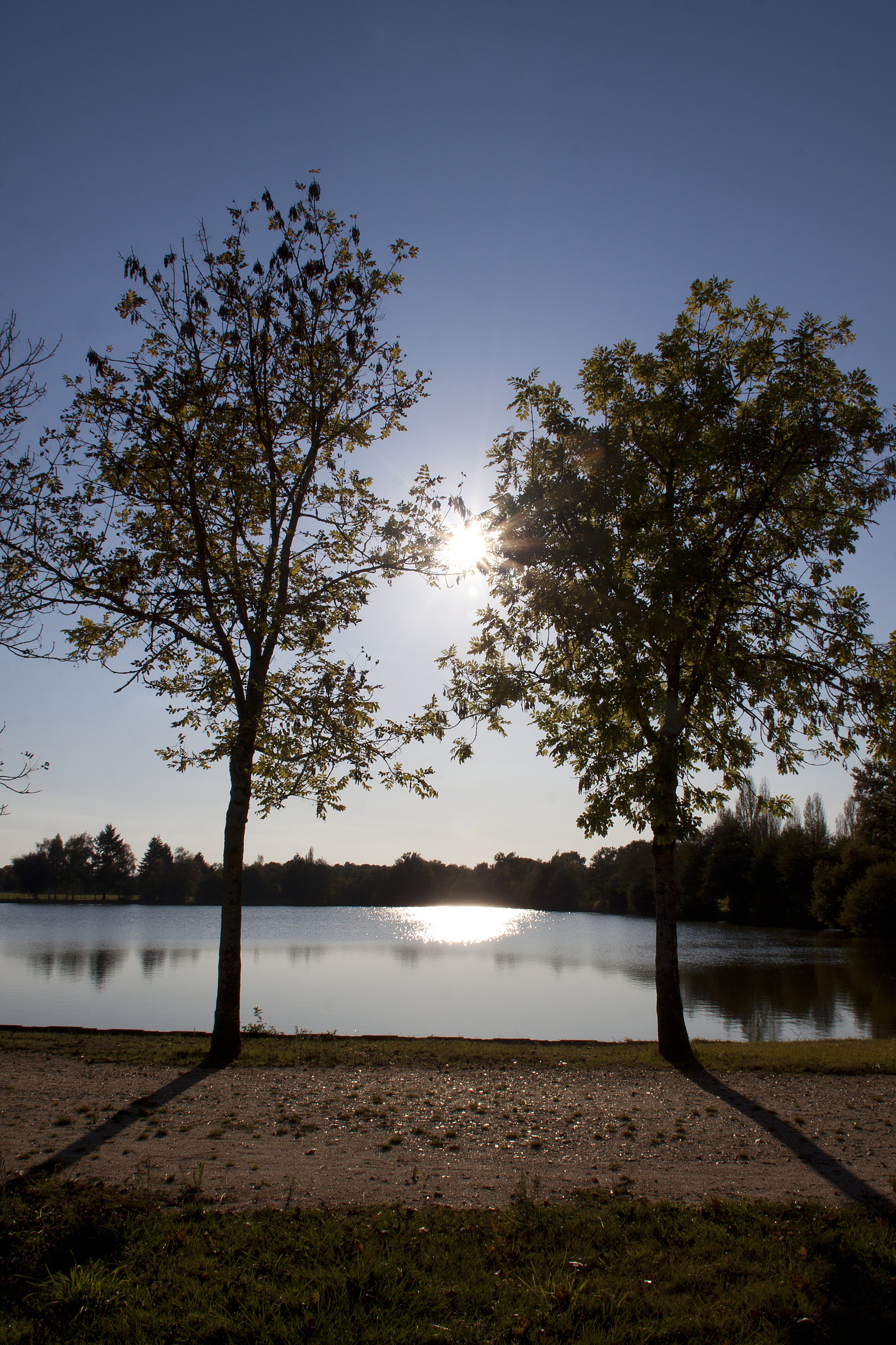 Pêche étang de la Plancherotte