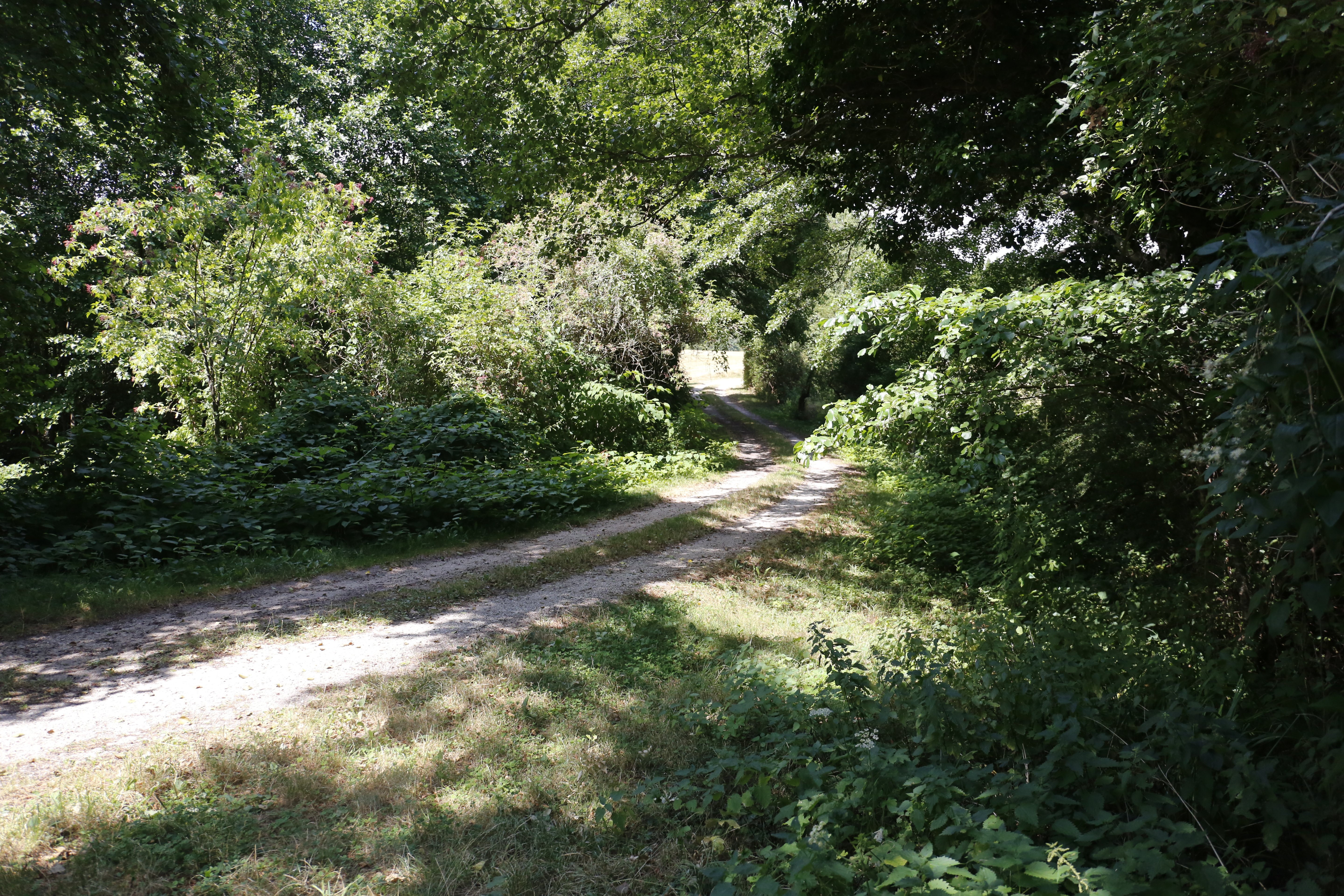 Chambon-la-Forêt, Chambon-la-Forêt - photo 3