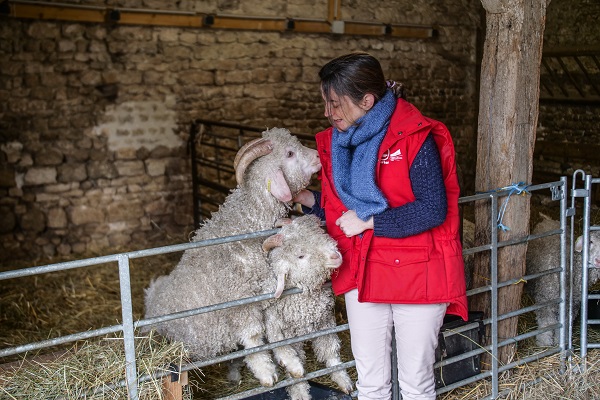 La Ferme des p'tits Bergers