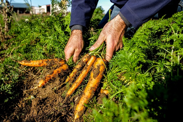 GAEC Beulin - Mercier