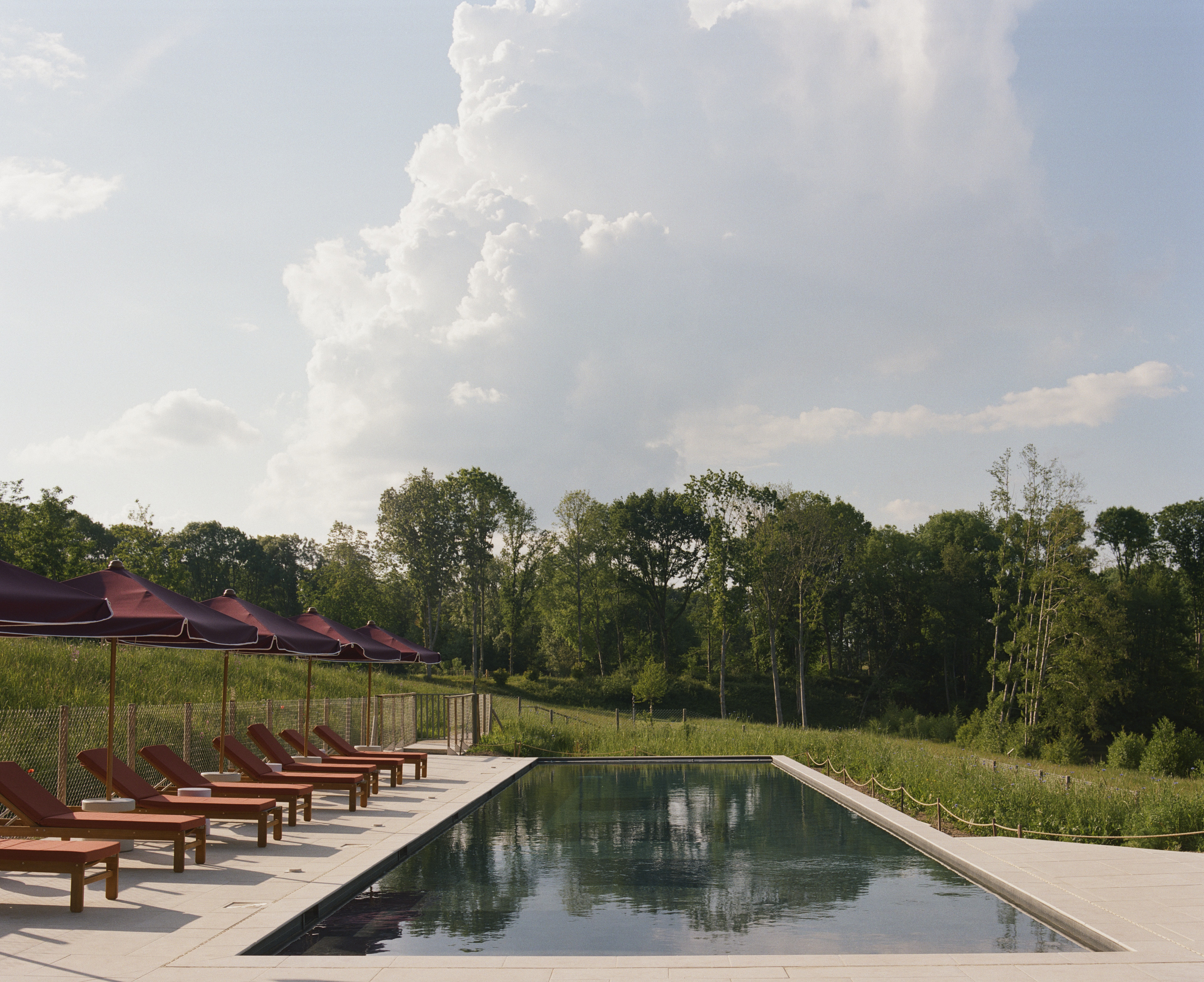 Repère Sauvage, La Ville-aux-Clercs - photo 6