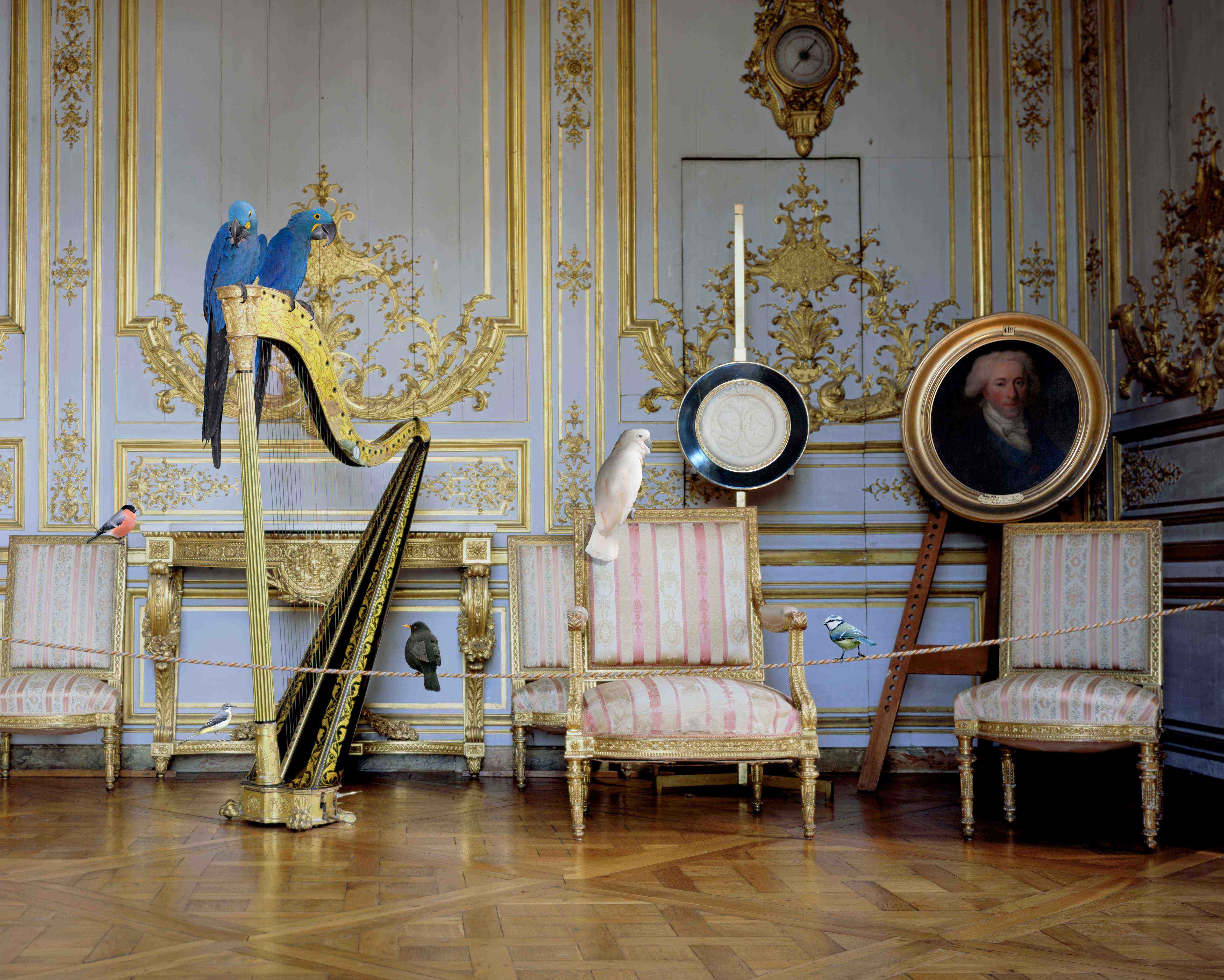 Karen Knorr habite le château — visuel événement