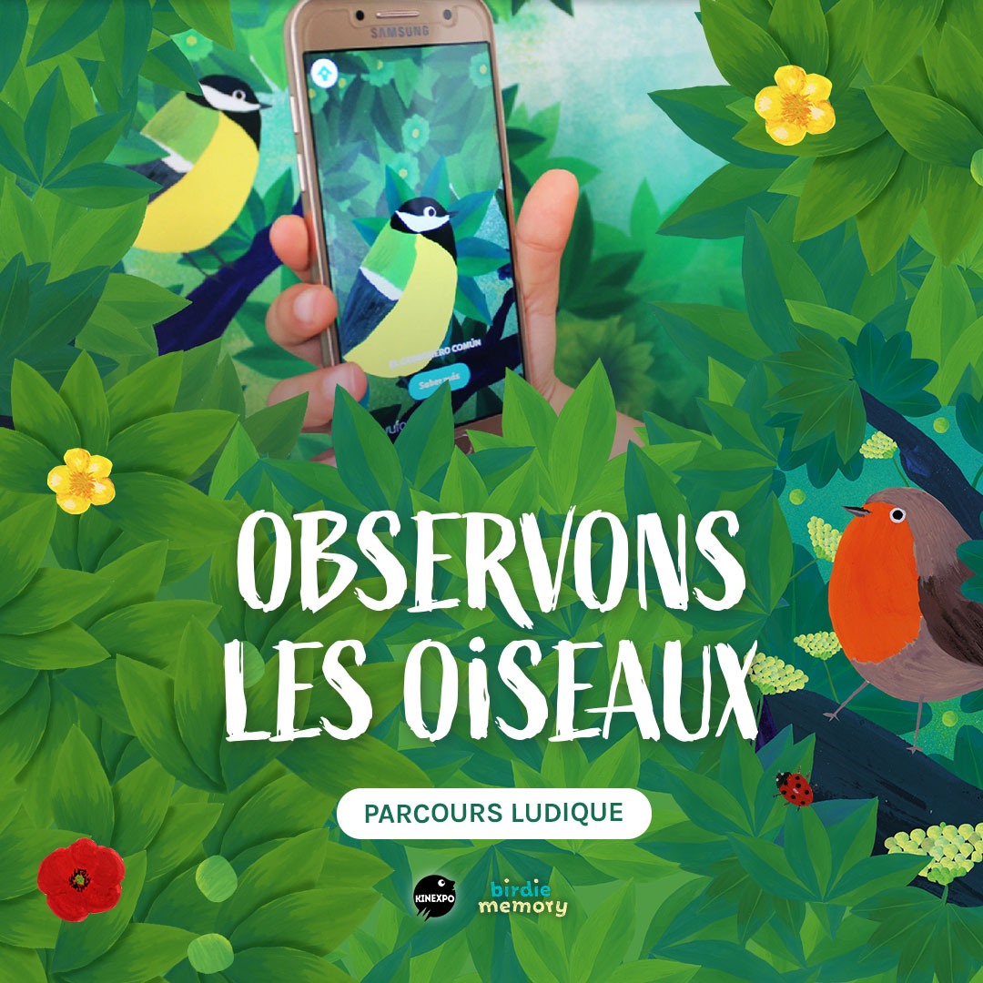 Exposition interactive - Observons les oiseaux