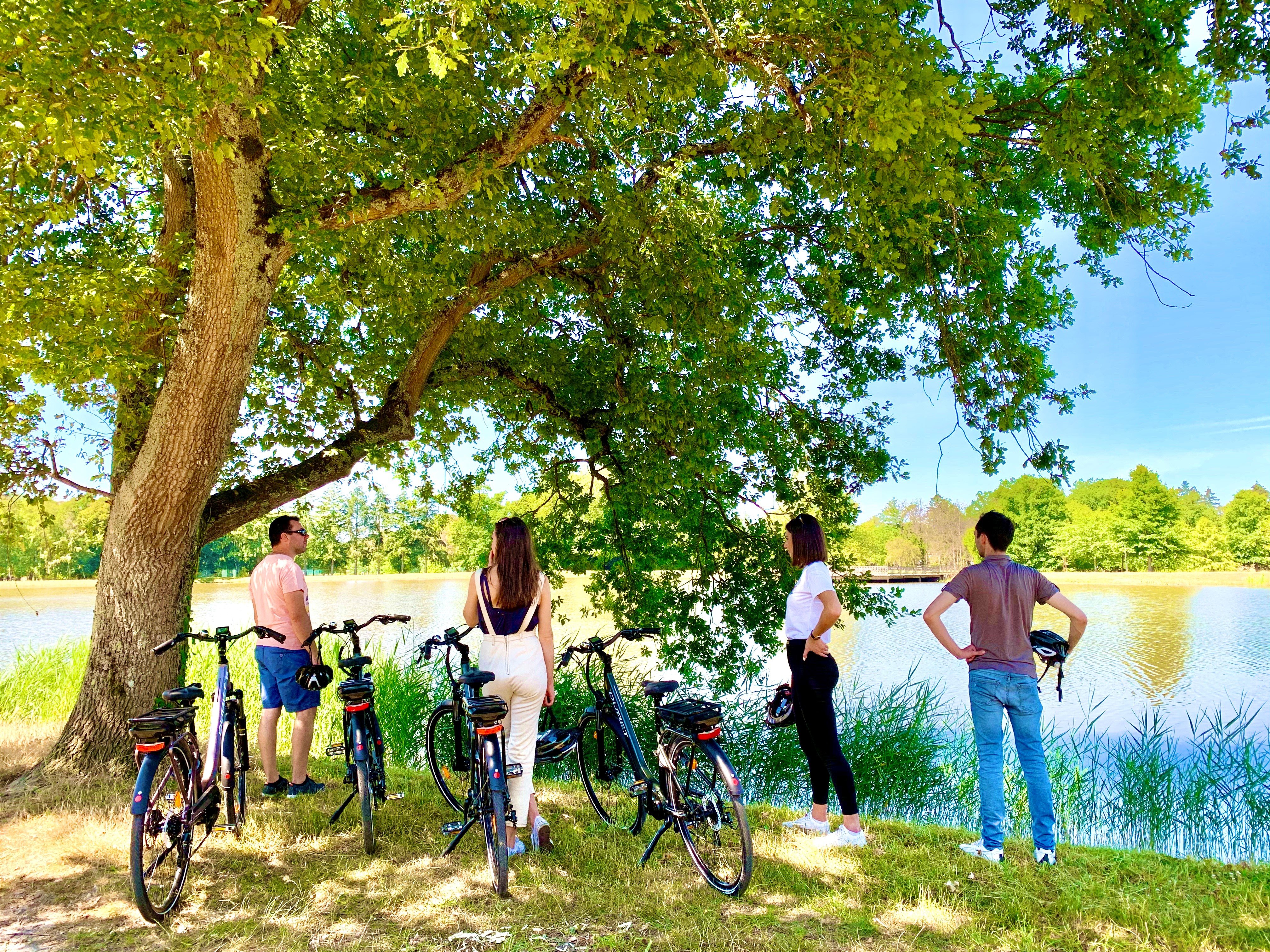 Location de vélos à assistance électrique