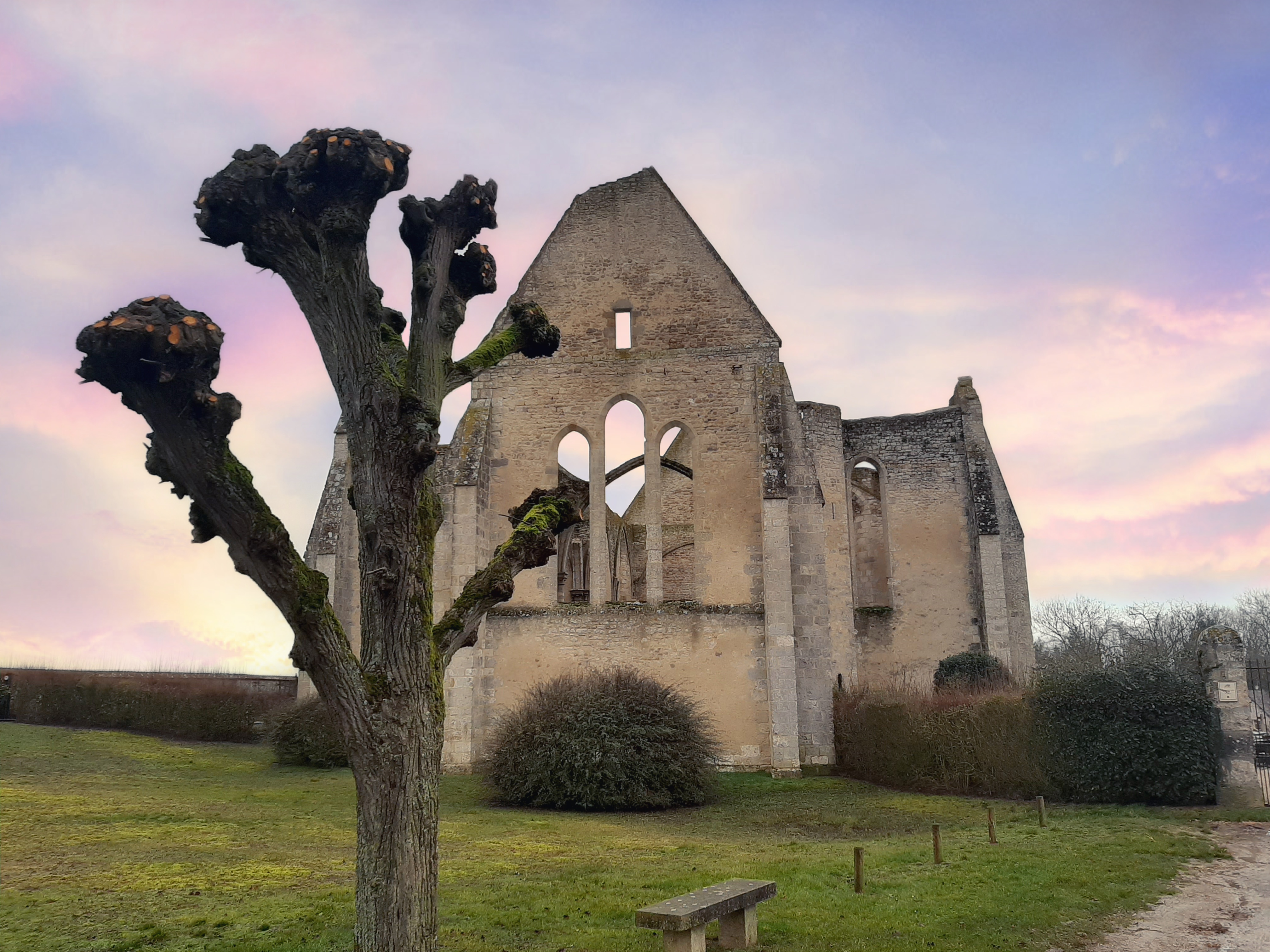 Eglise Saint-Lubin, Yèvre-la-Ville - photo 3
