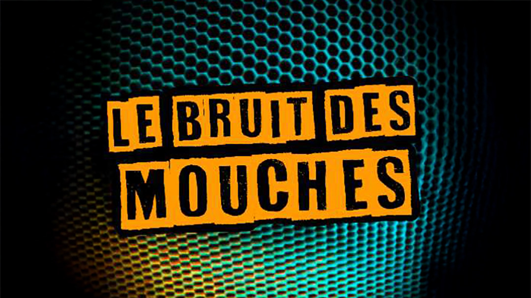 Spectacle : Le Bruit des Mouches