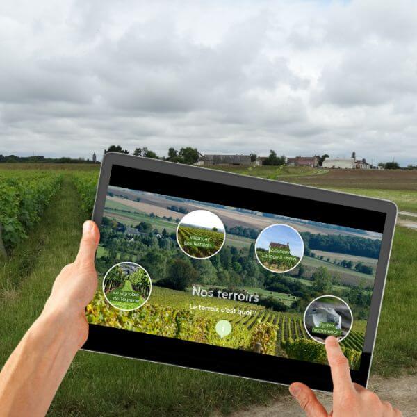 Les sentiers du vin, Lye