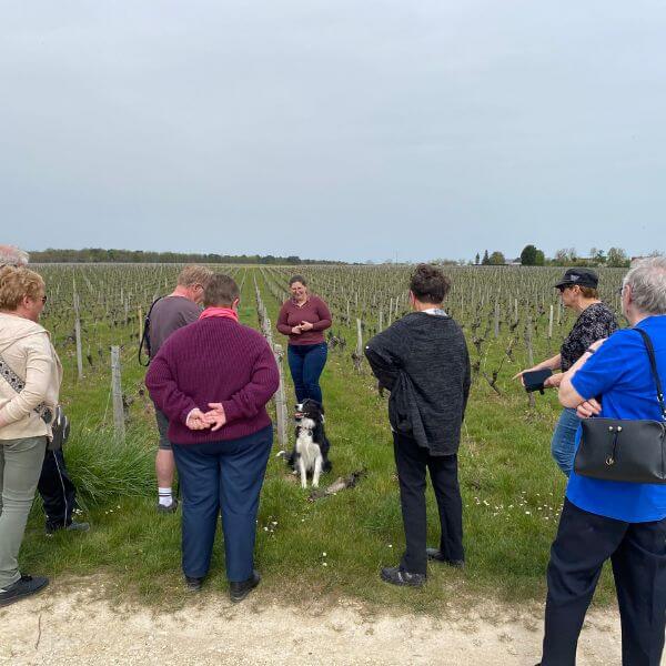 Sur les pas du vigneron, Lye - photo 2