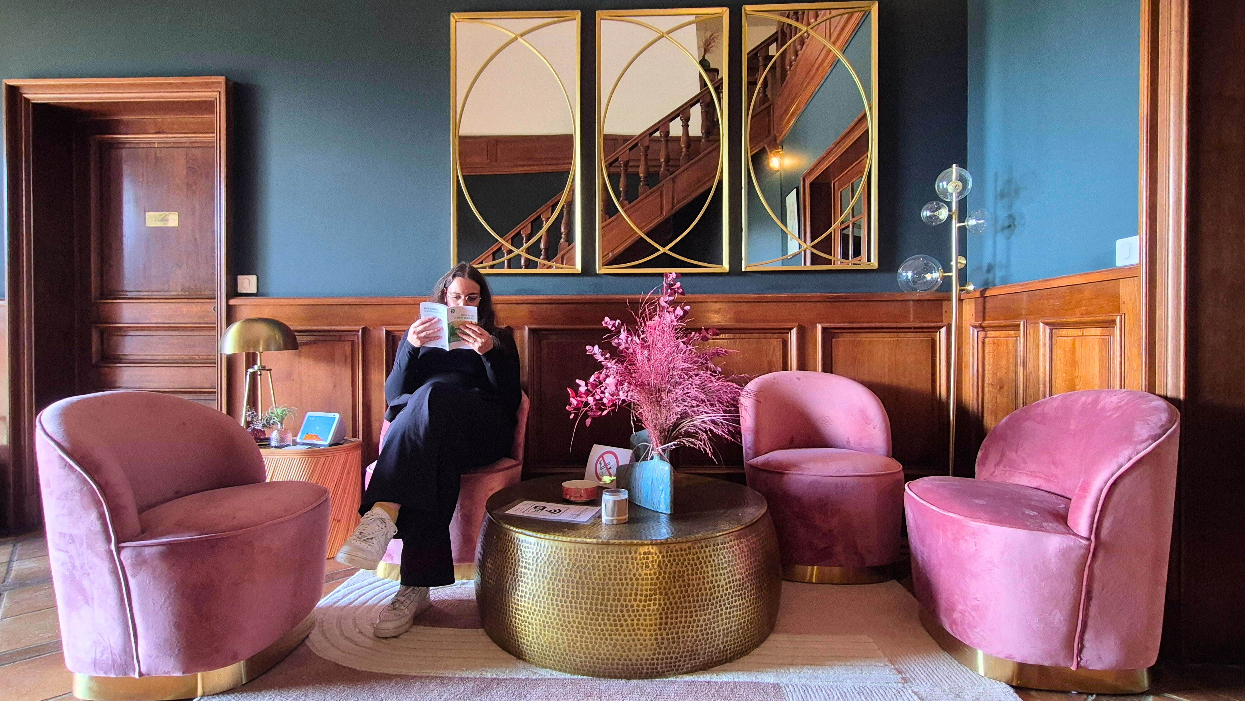 Manoir de la Sauldre, Argent-sur-Sauldre - photo 7