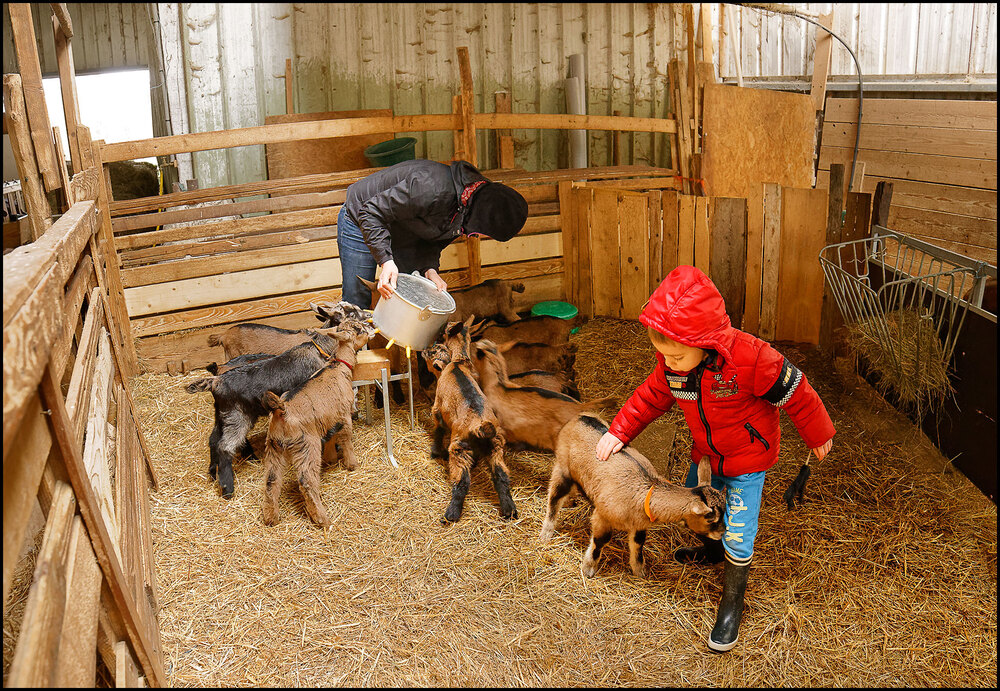 Ferme des Places