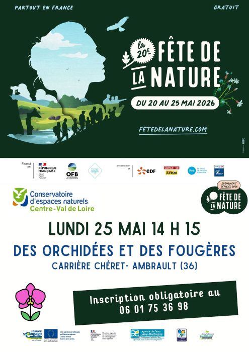 Des orchidées et des fougères