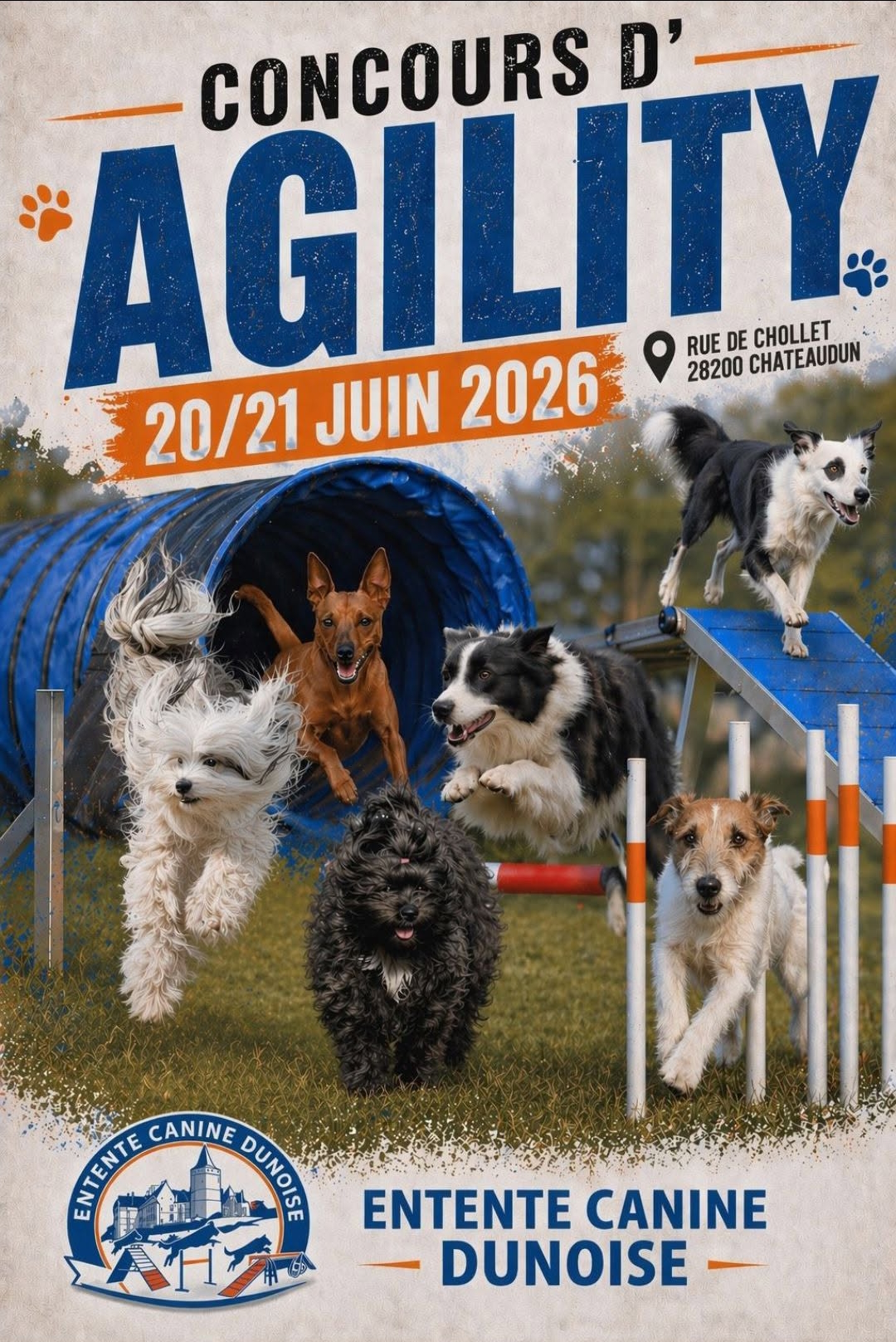 Concours d'Agility