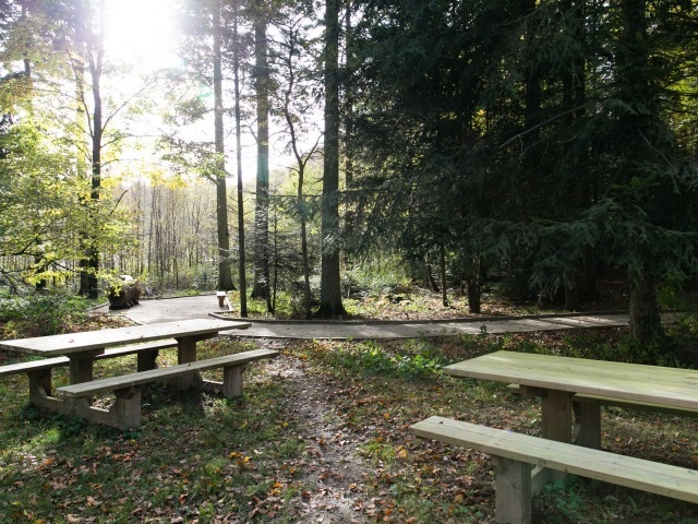 Aire de pique-nique, Senonches - photo 2