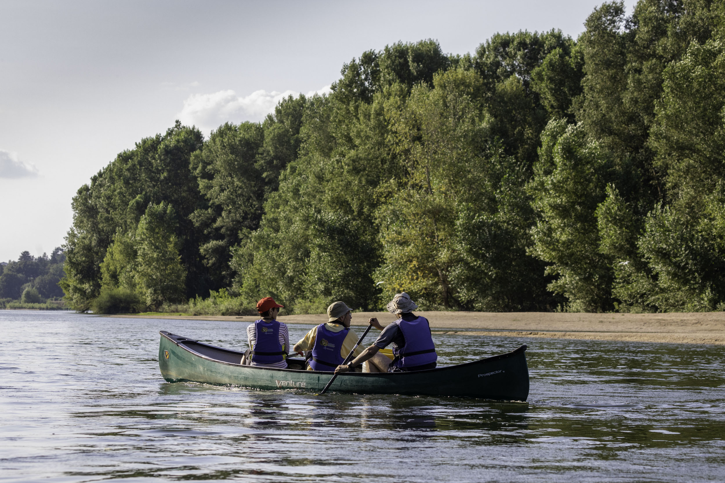 Sur les traces du castor et des oiseaux de la Loire en canoë — visuel événement