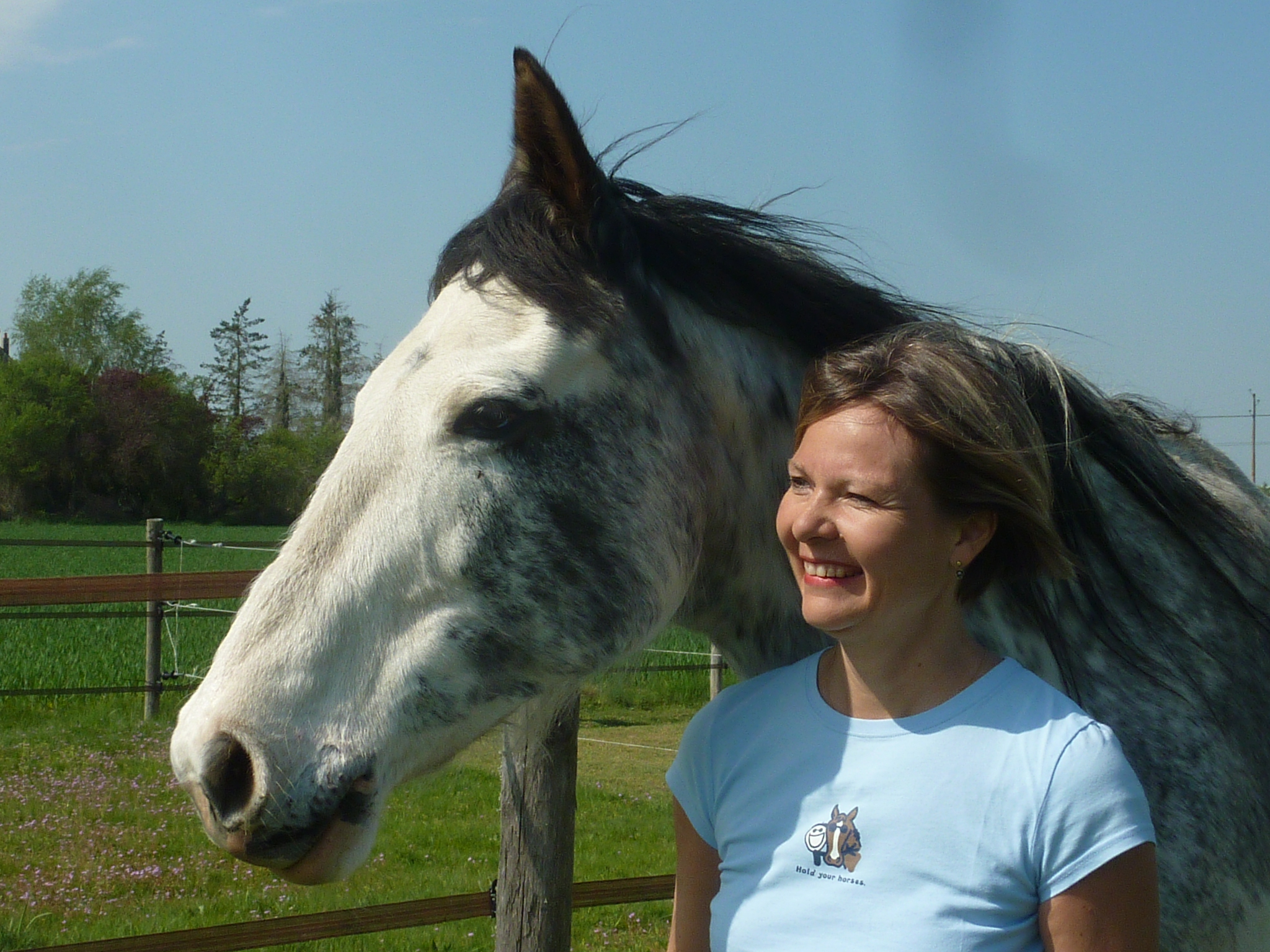 Ecurie Florence Lefevre - équitation éthologique