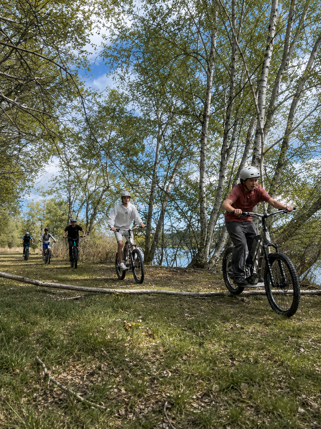 2T Aventure Trottinette électrique tout terrain