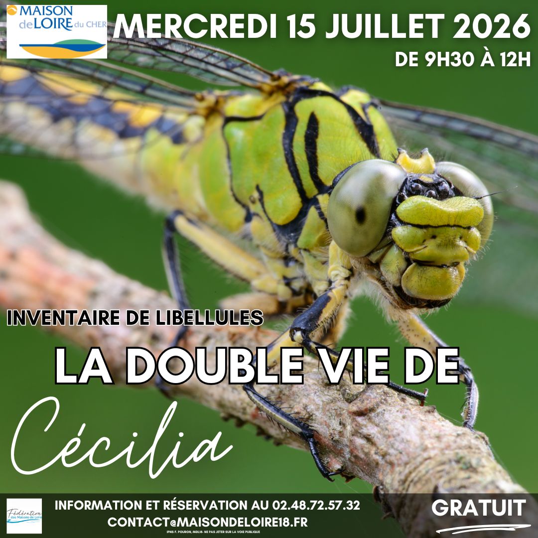 La double vie de Cécilia : découverte et inventaire des libellules