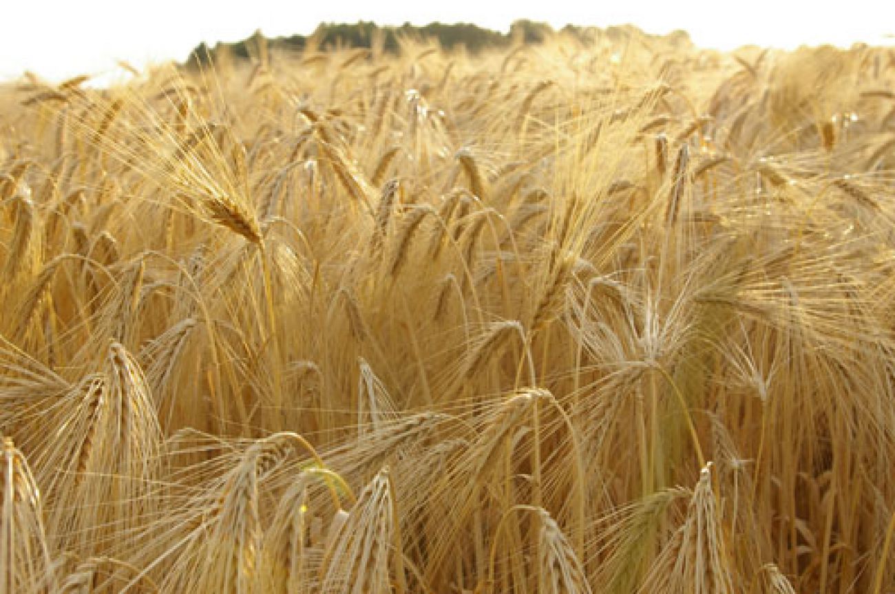 PR de la Pierre au Coqs, Bromeilles - photo 2