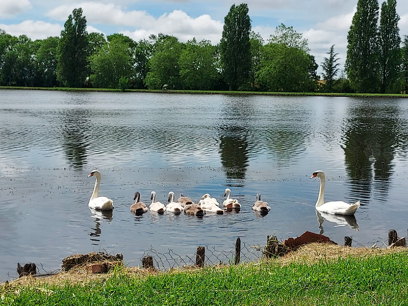 Etang des Frênes — photo 3