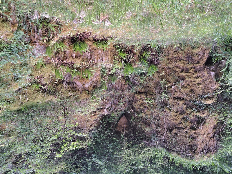 La Carrière Cheret, Ambrault - photo 5