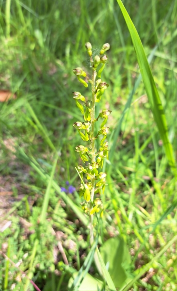 La Carrière Cheret, Ambrault - photo 3
