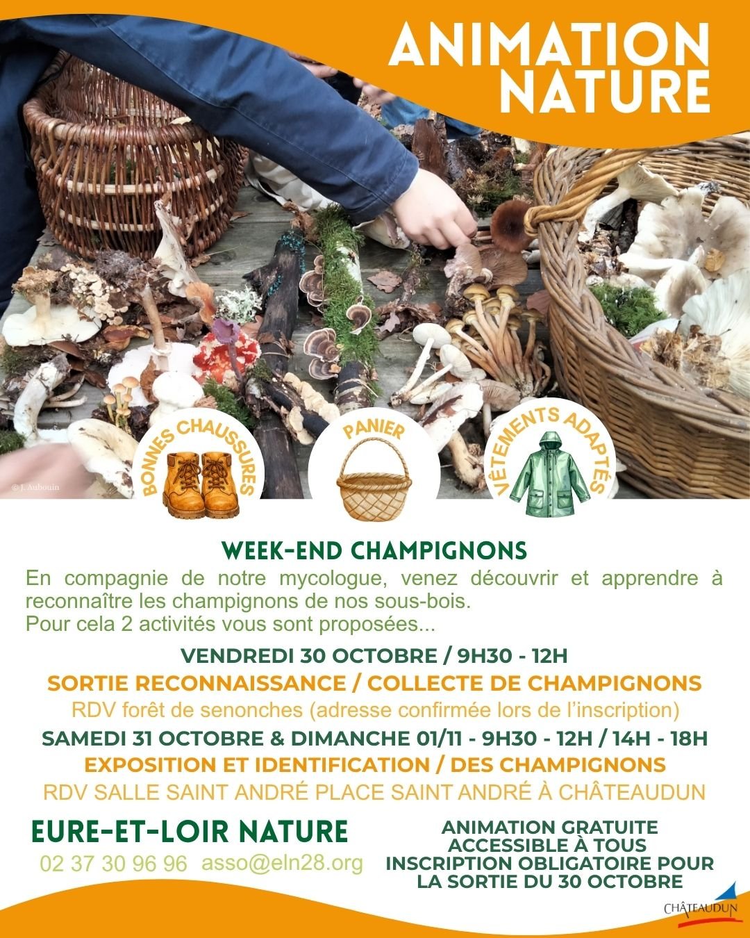 Animation nature - Exposition et identification des champignons