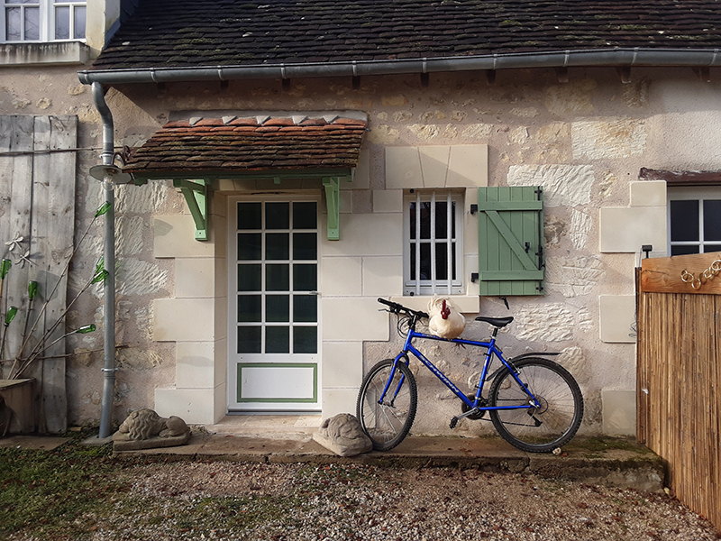 La ménagerie, Châteauvieux - photo 6