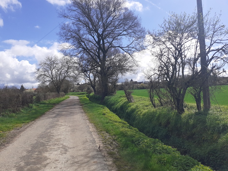 10- Boucle des Beugnes à La Celle
