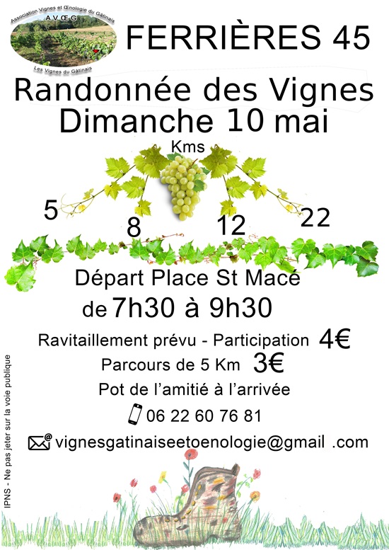 Randonnée des Vignes — visuel événement