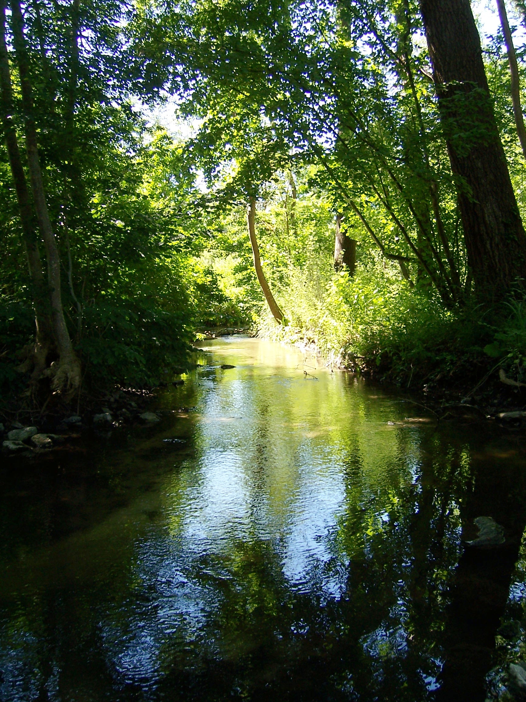 Dimancheville, Dimancheville - photo 3