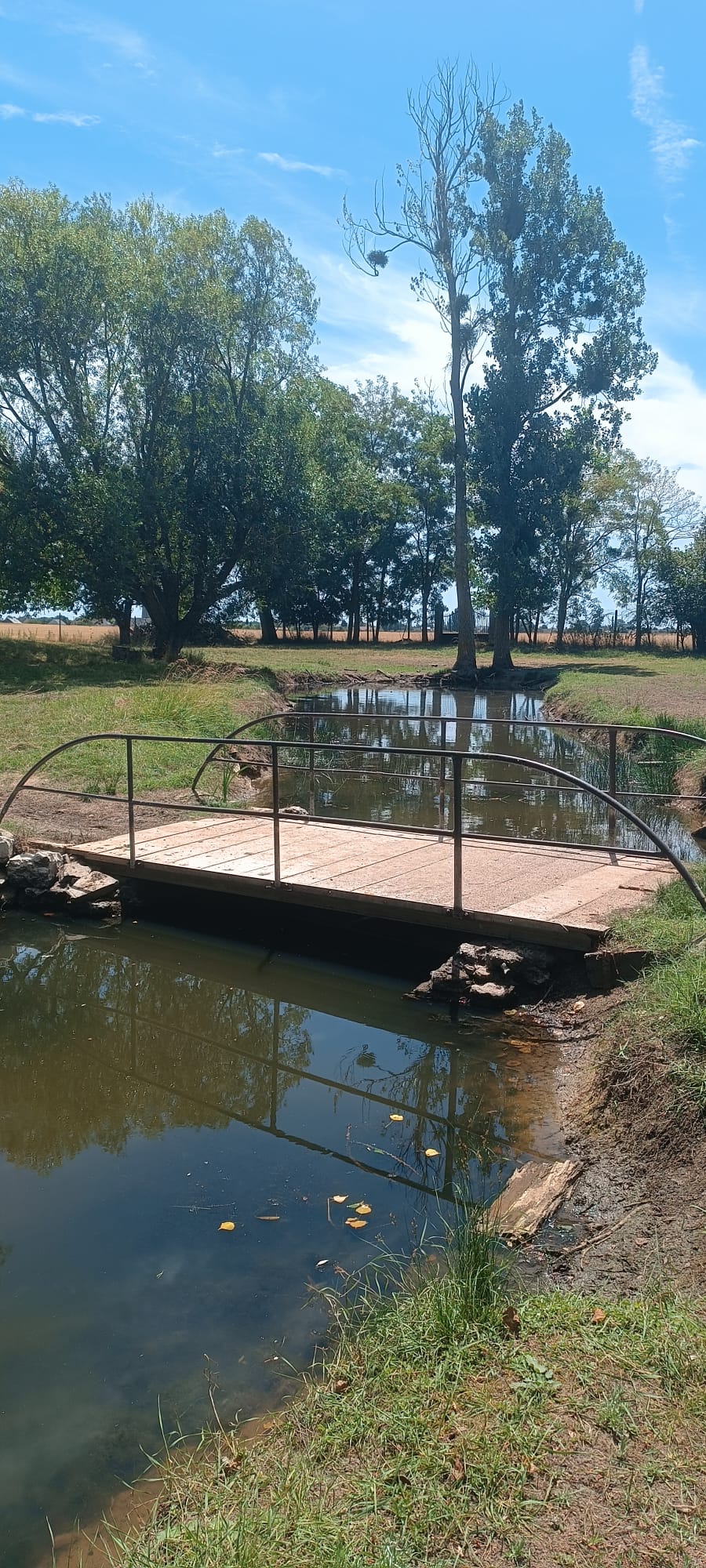 Les Ecogites de la Sablière, Oucques La Nouvelle - photo 2