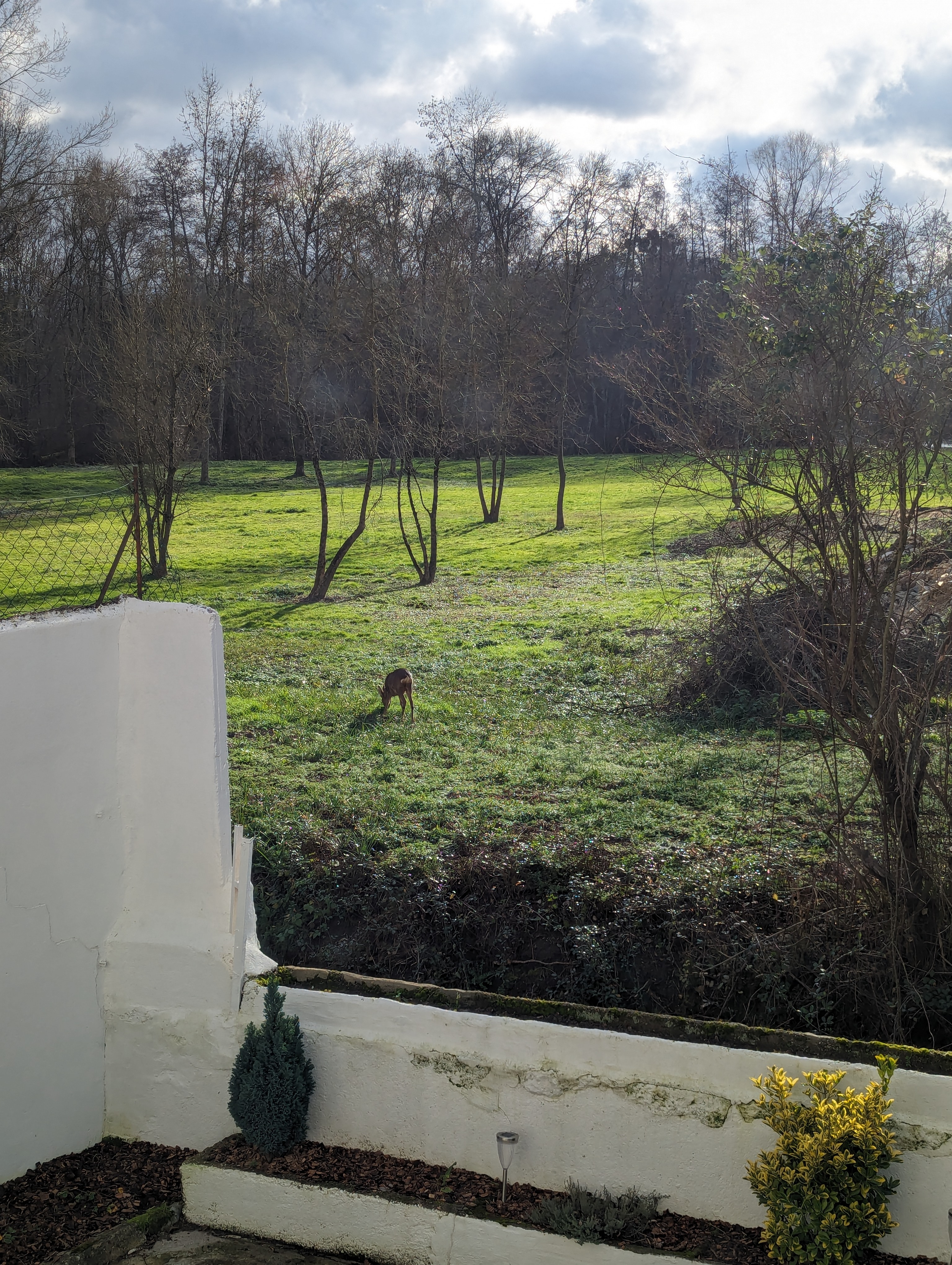 Maison détente et conviviale, Vierzon - photo 6